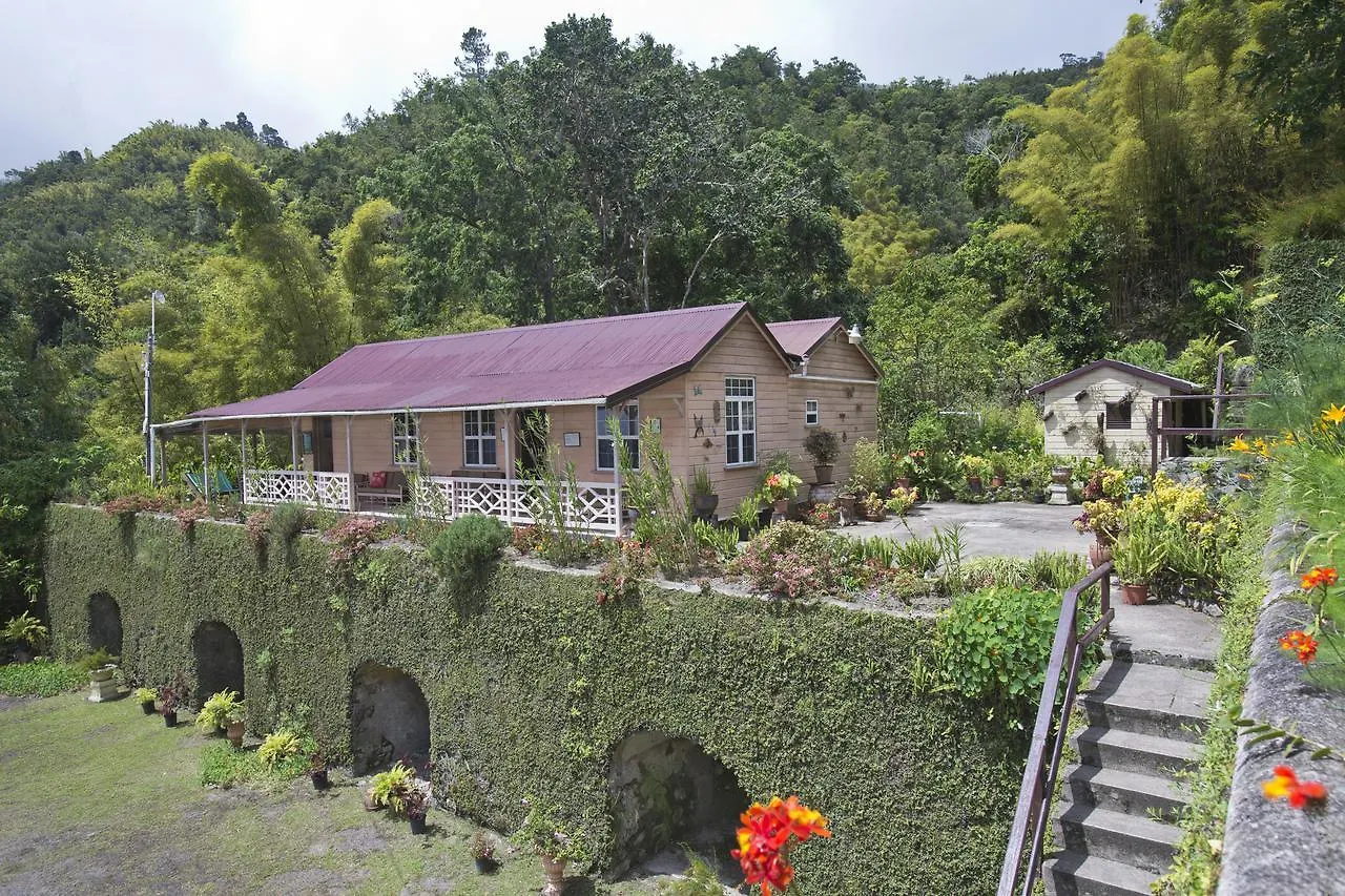 Barbecue Heritage Gardens Cottage - Jm Newcastle Domek alpejski
