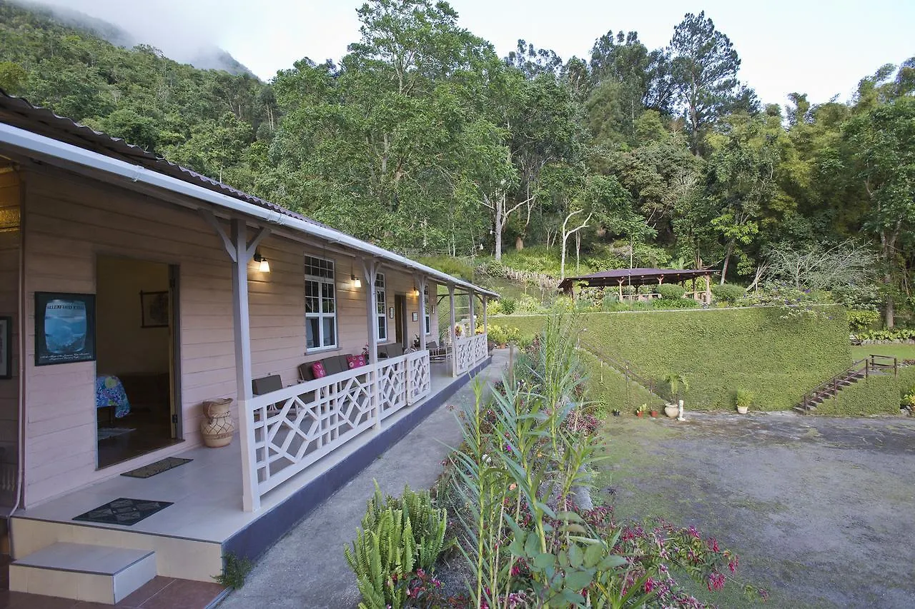 Domek alpejski Barbecue Heritage Gardens Cottage - Jm Newcastle